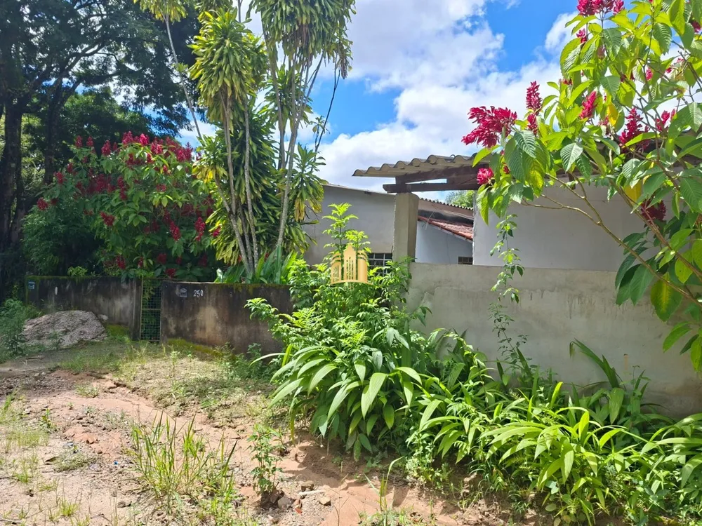 Sítio, 6 quartos, 1000 m² - Foto 1