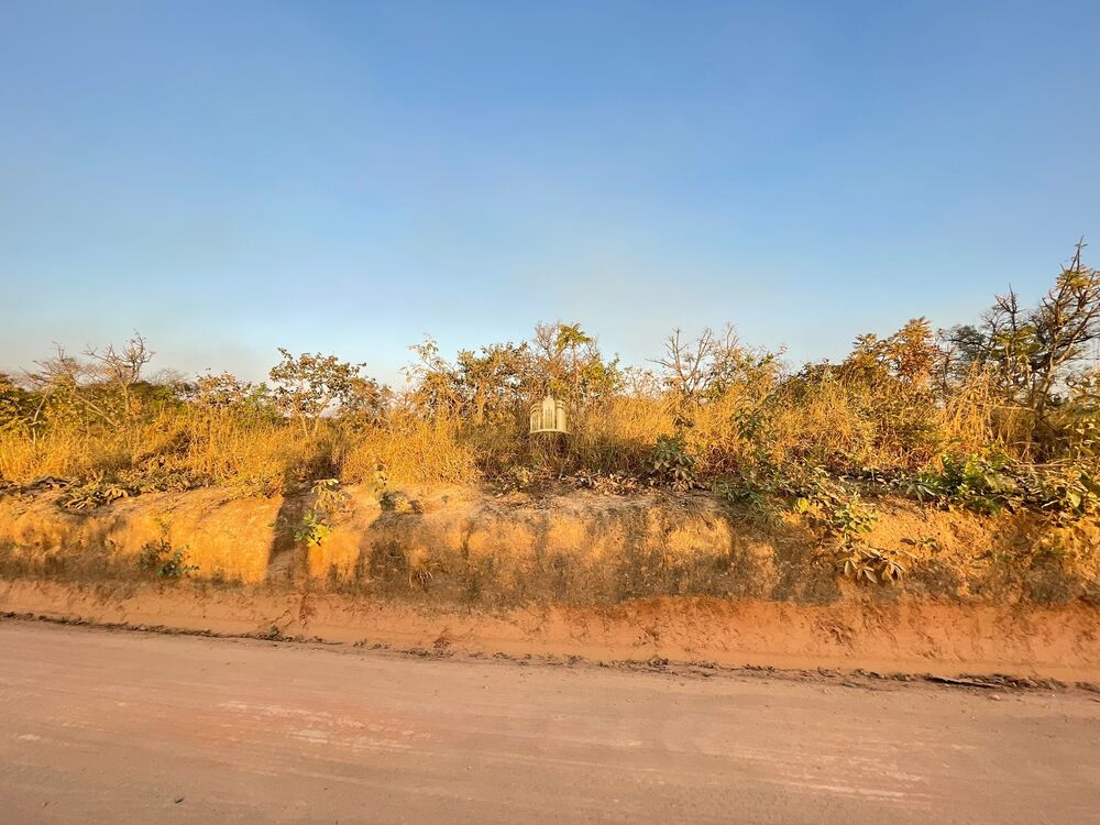 Terreno, 5300 m² - Foto 6