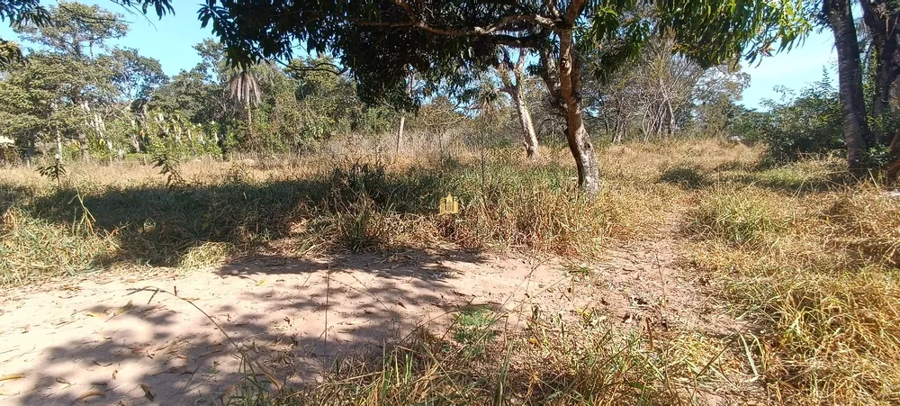Sítio, 2 quartos, 5 hectares - Foto 1