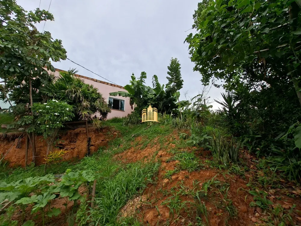 Sítio, 3 quartos, 700 m² - Foto 1