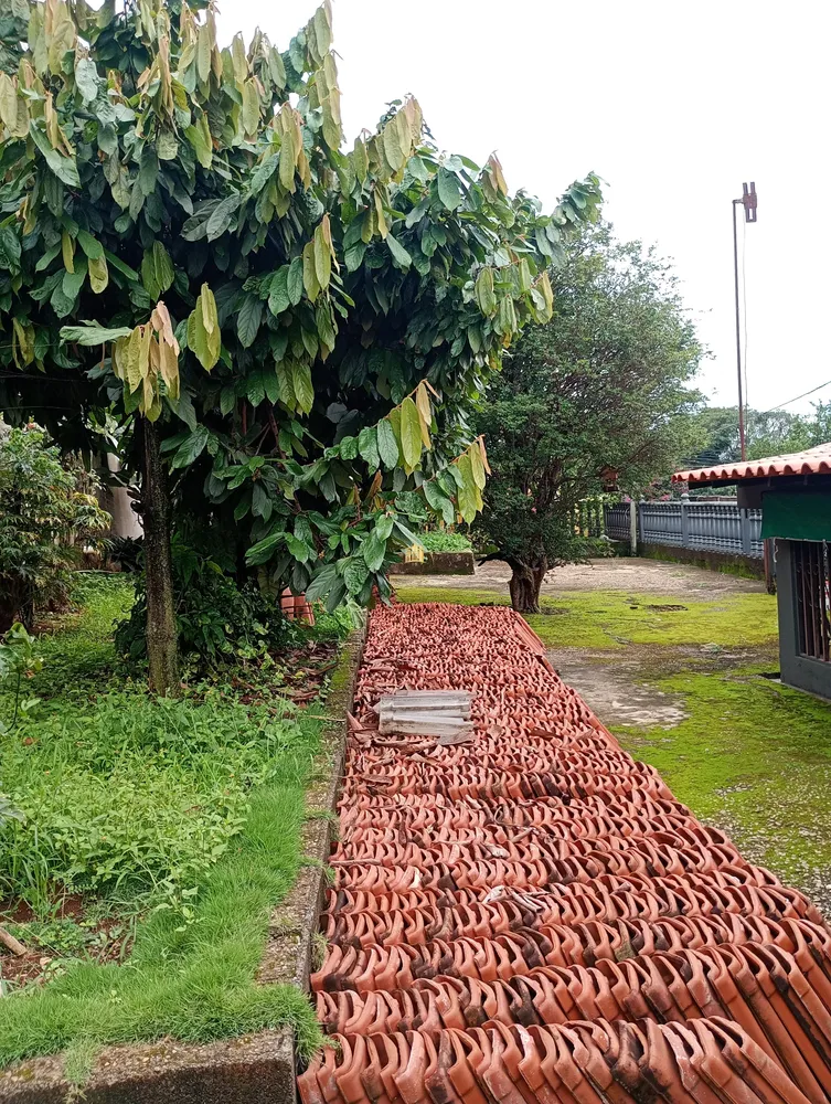 Prédio Inteiro, 520 m² - Foto 5