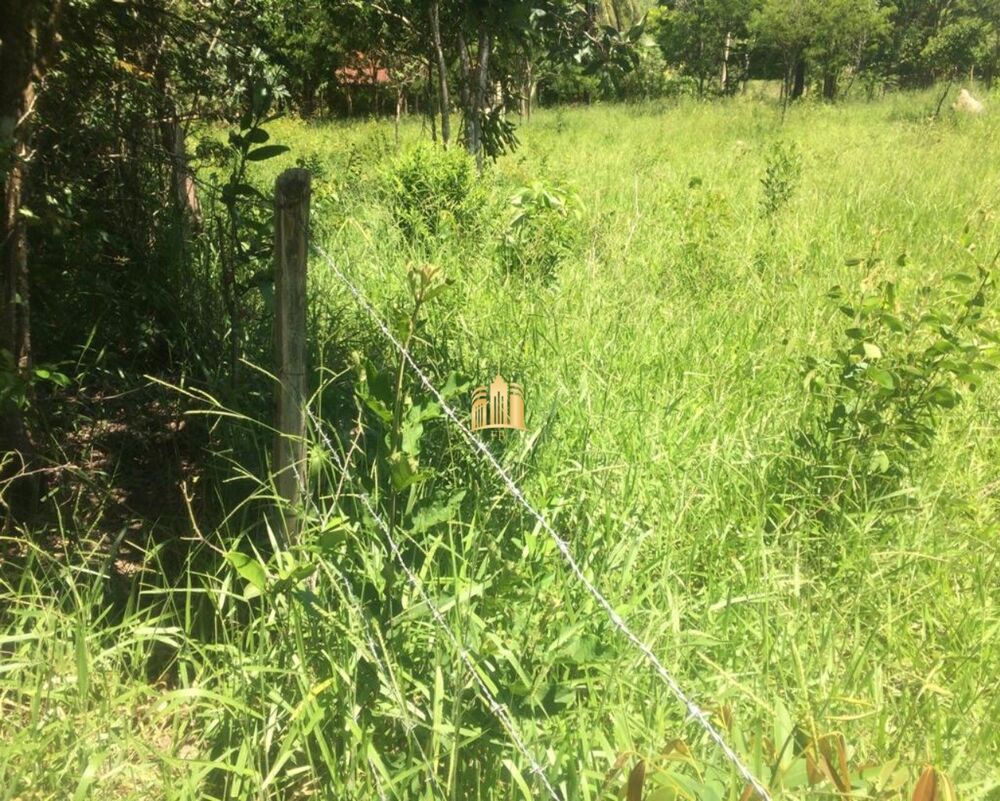 Terreno, 2 hectares - Foto 3