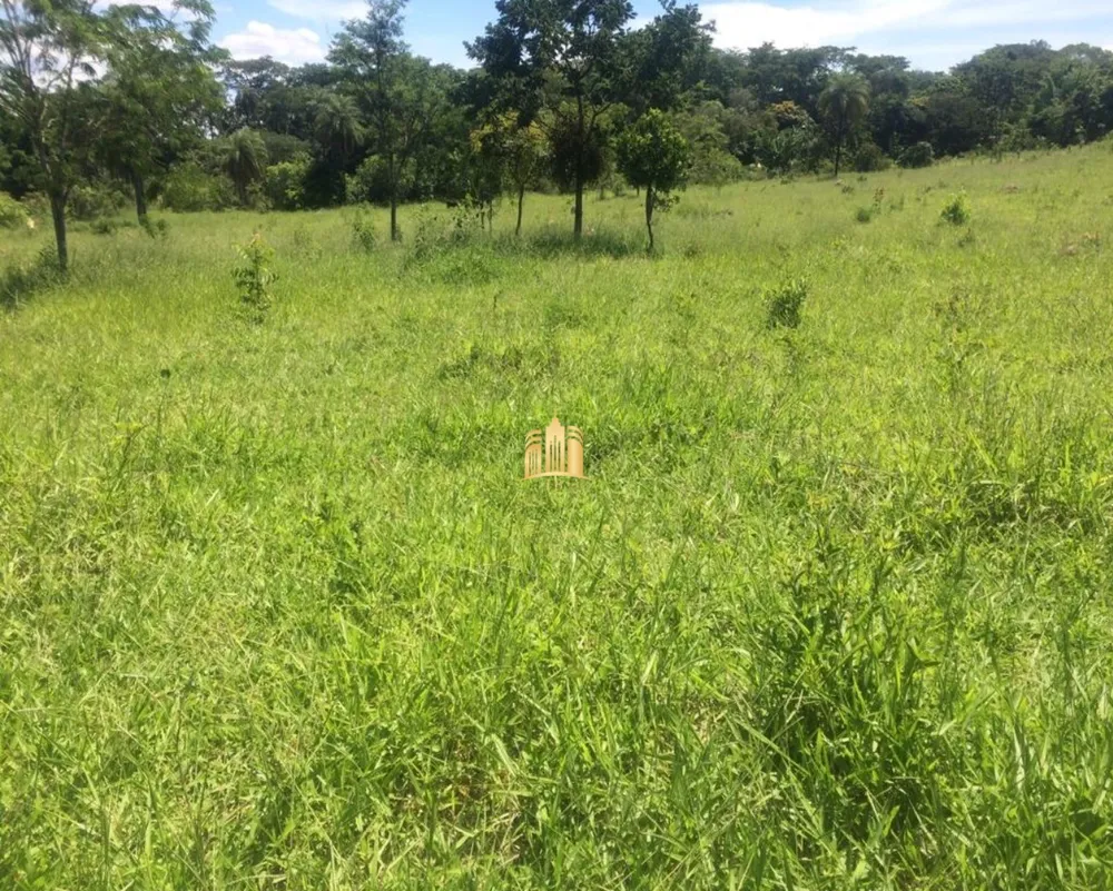 Terreno, 2 hectares - Foto 11