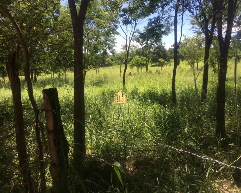 Terreno, 2 hectares - Foto 9