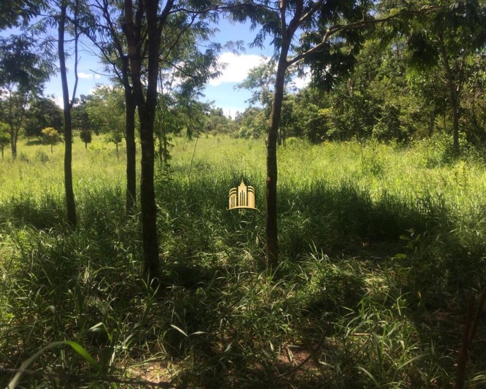 Terreno, 2 hectares - Foto 4
