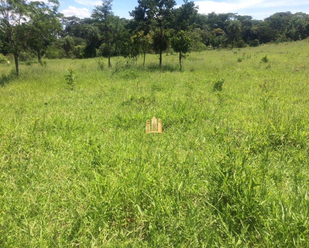Terreno, 2 hectares - Foto 5