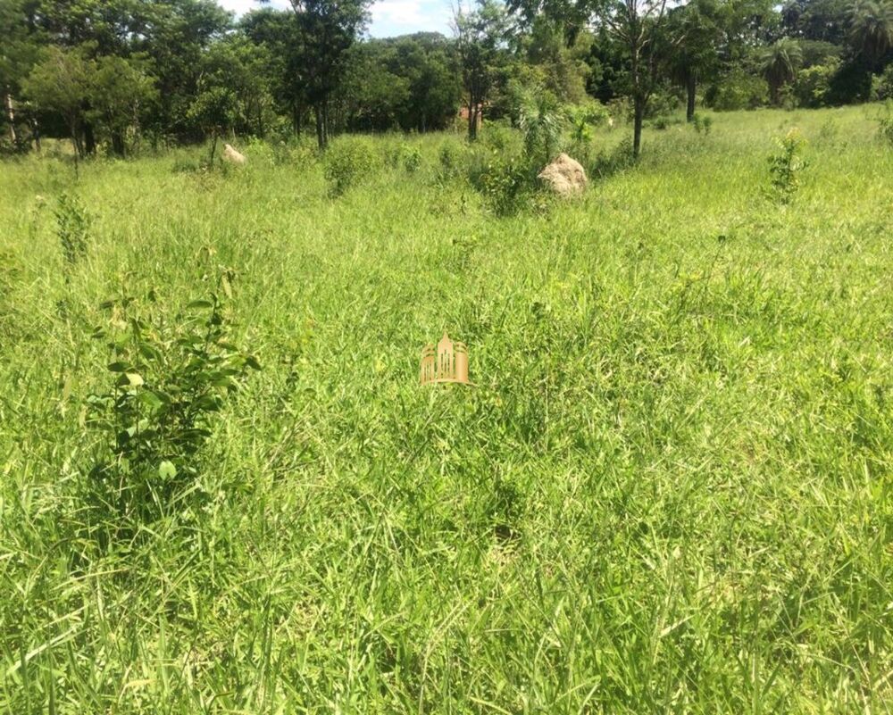 Terreno, 2 hectares - Foto 2