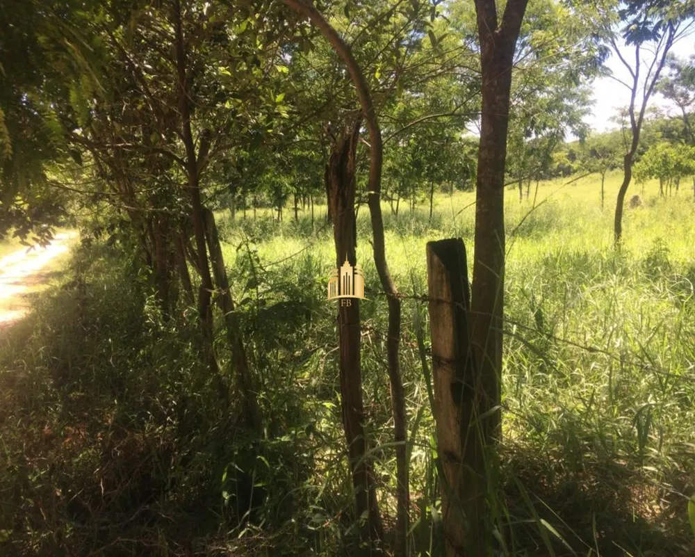 Terreno, 2 hectares - Foto 16