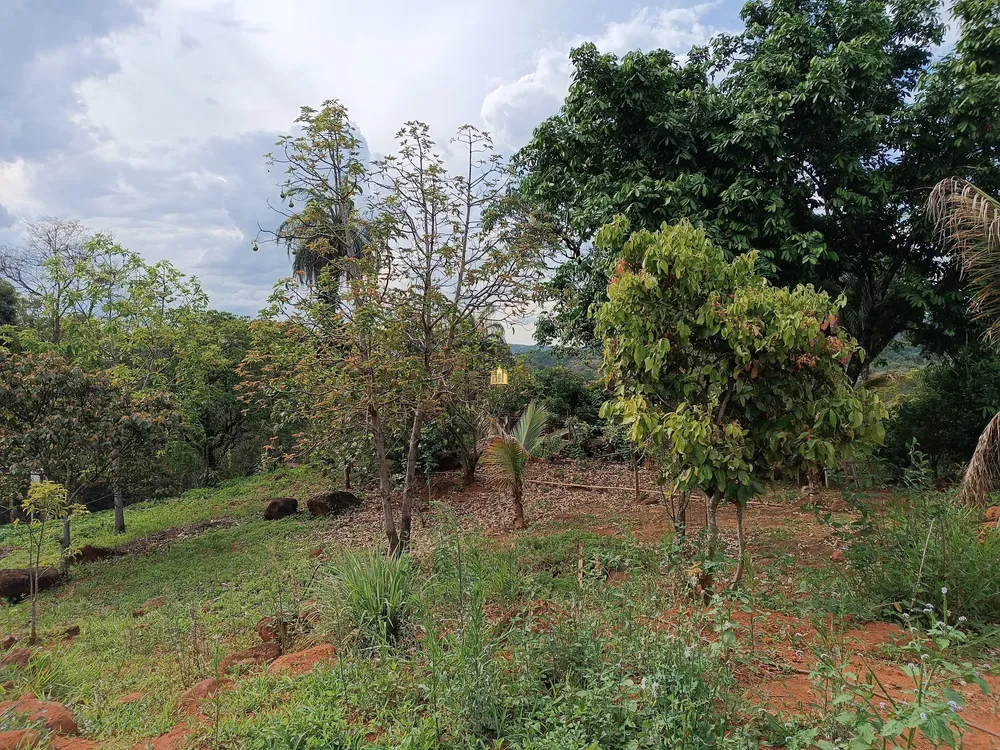 Sítio, 1 quarto, 5000 m² - Foto 14
