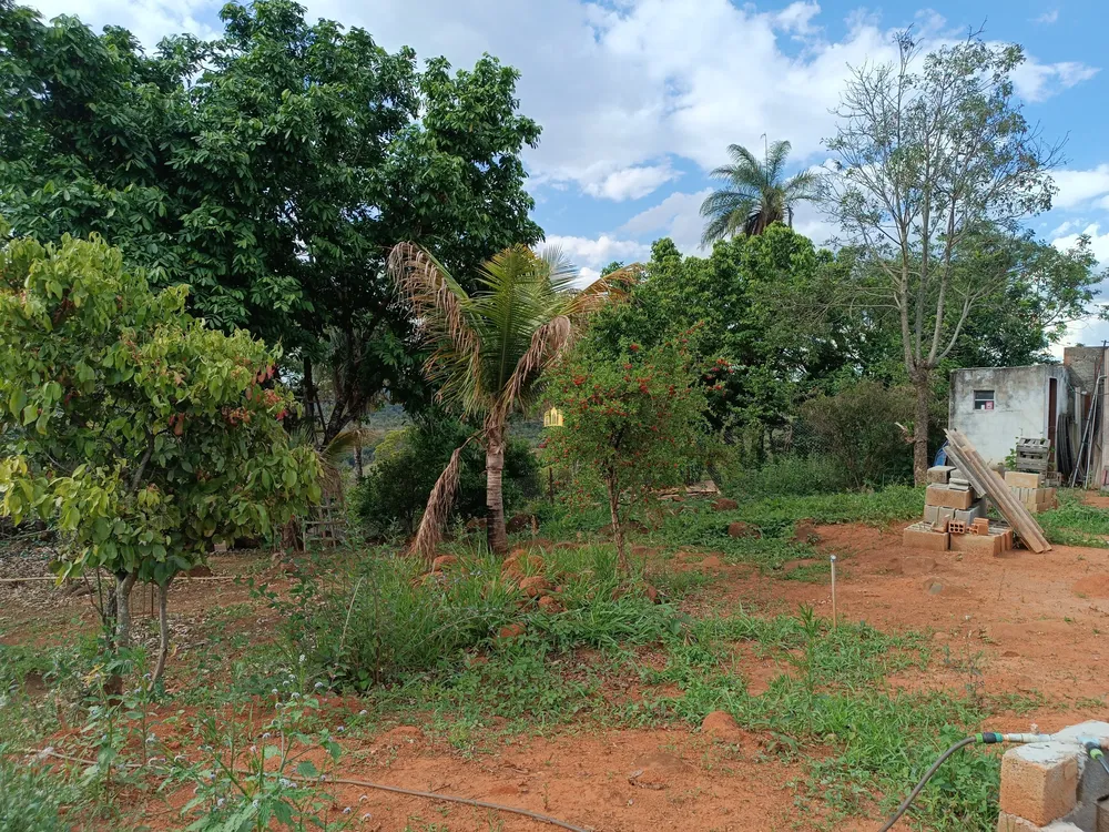 Sítio, 1 quarto, 5000 m² - Foto 15