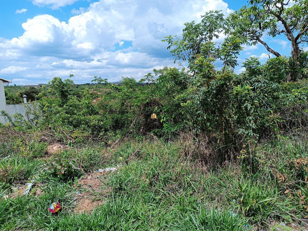 Sítio à venda com 1 quarto, 5000m² - Foto 1