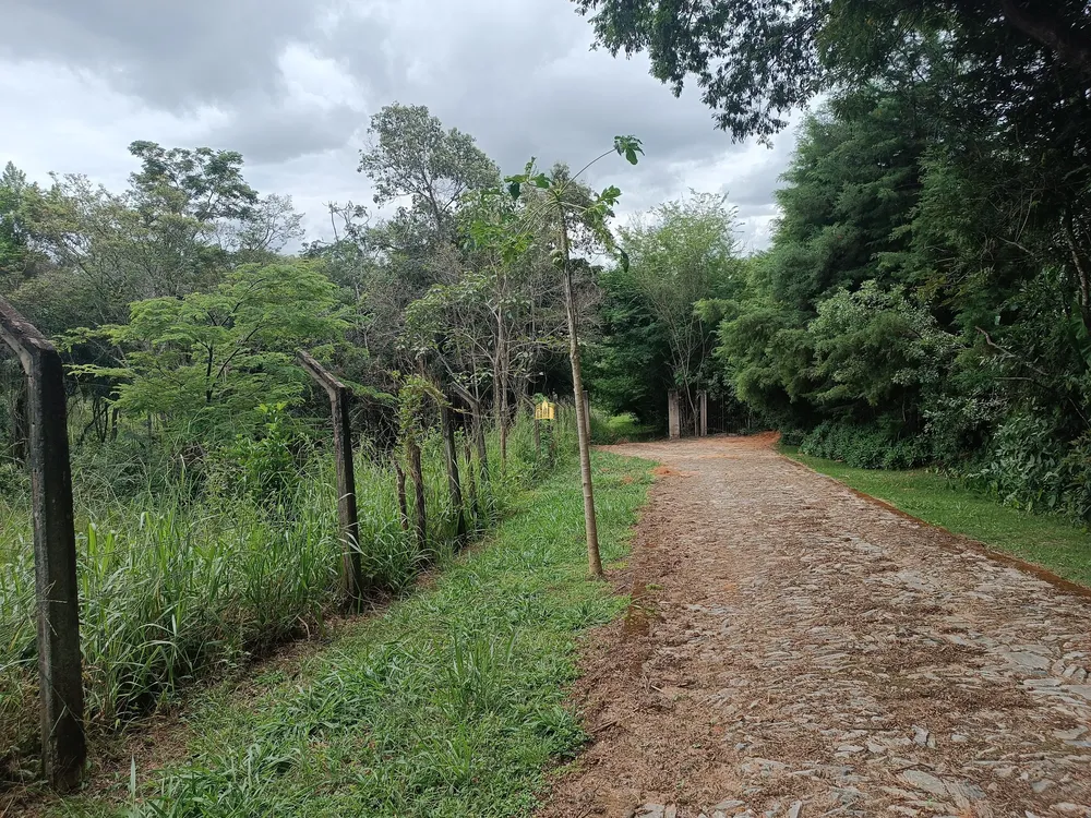 Terreno, 2 hectares - Foto 2