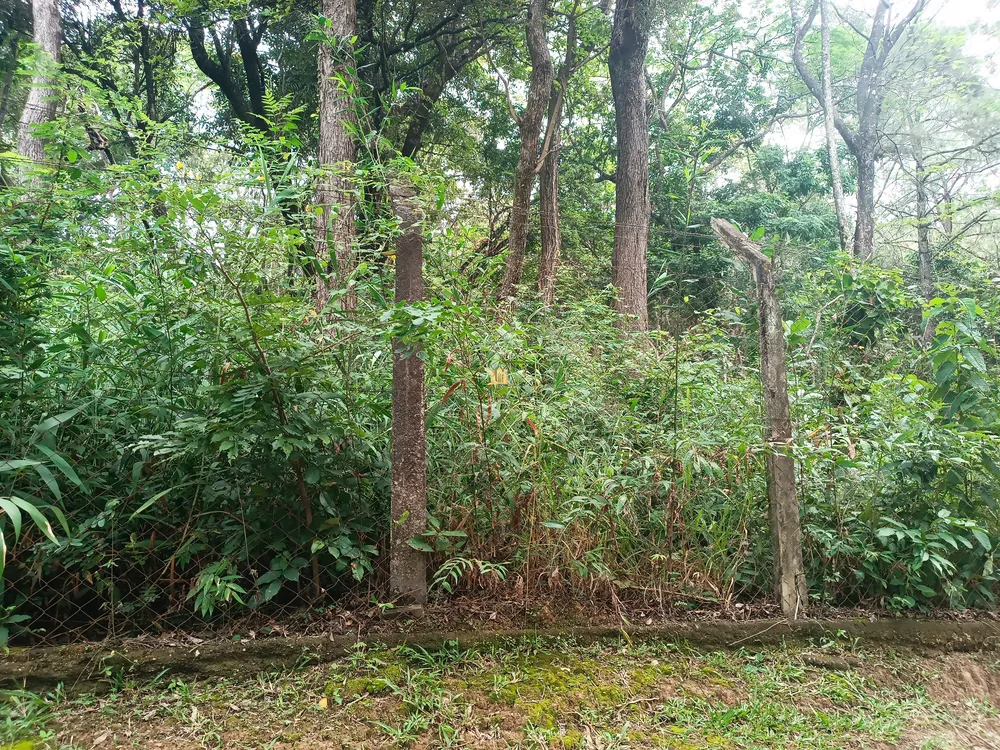 Terreno, 2 hectares - Foto 3
