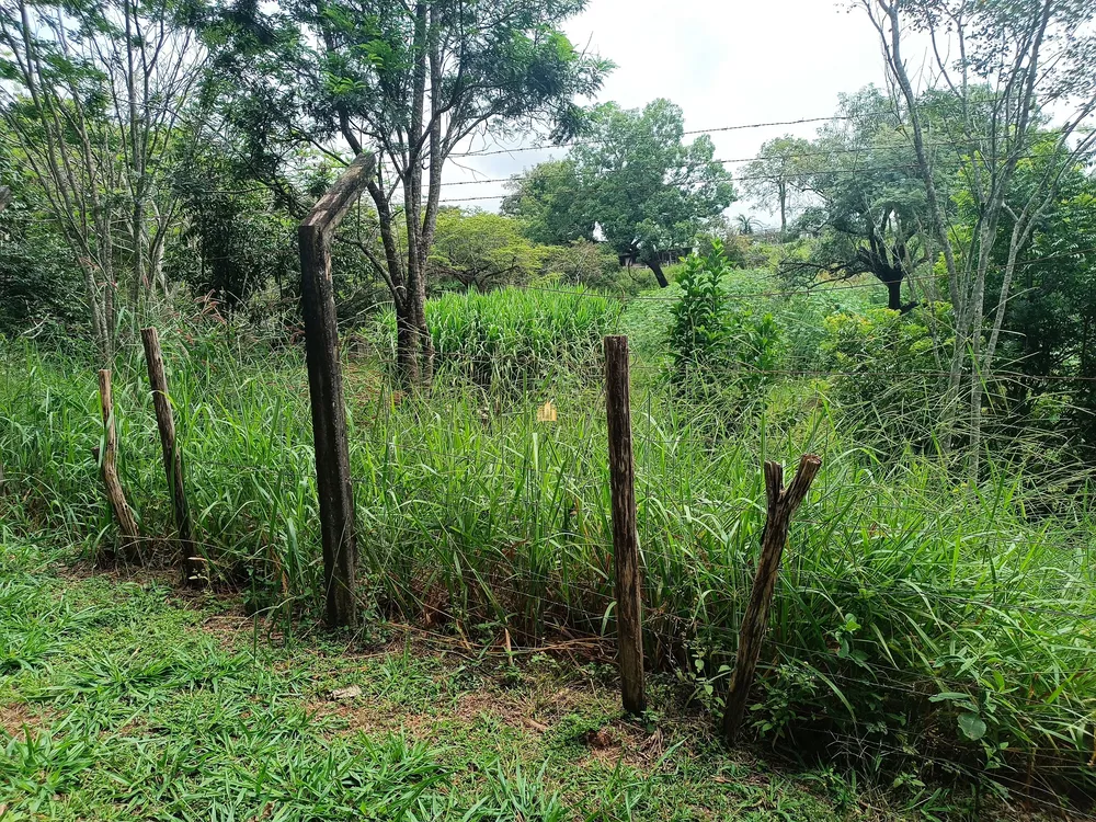 Terreno, 2 hectares - Foto 1