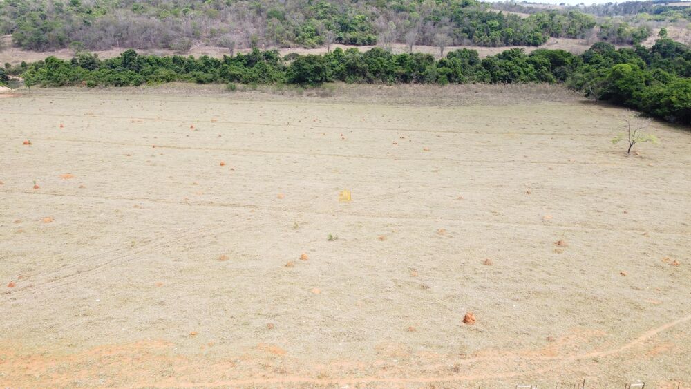 Terreno, 2 hectares - Foto 3