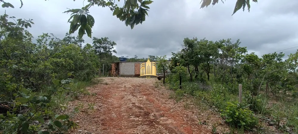Terreno, 10 hectares - Foto 3