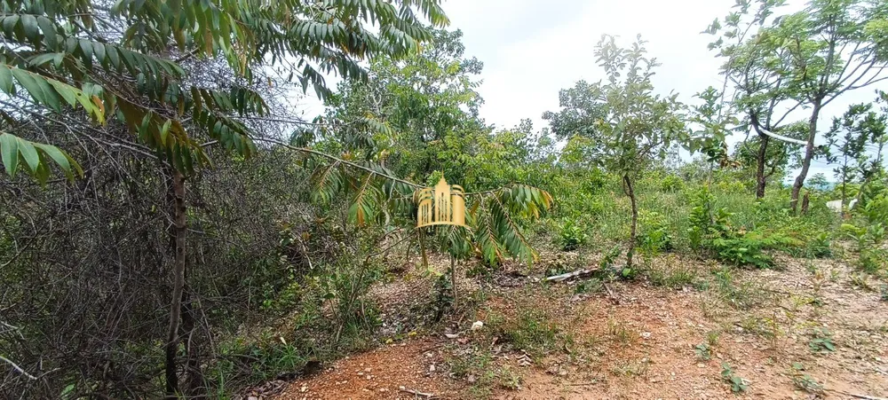 Terreno, 10 hectares - Foto 4