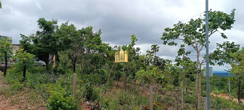 Terreno, 10 hectares - Foto 6