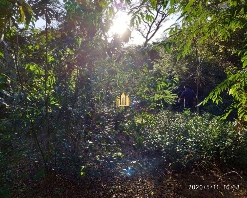 Terreno, 2500 m² - Foto 2