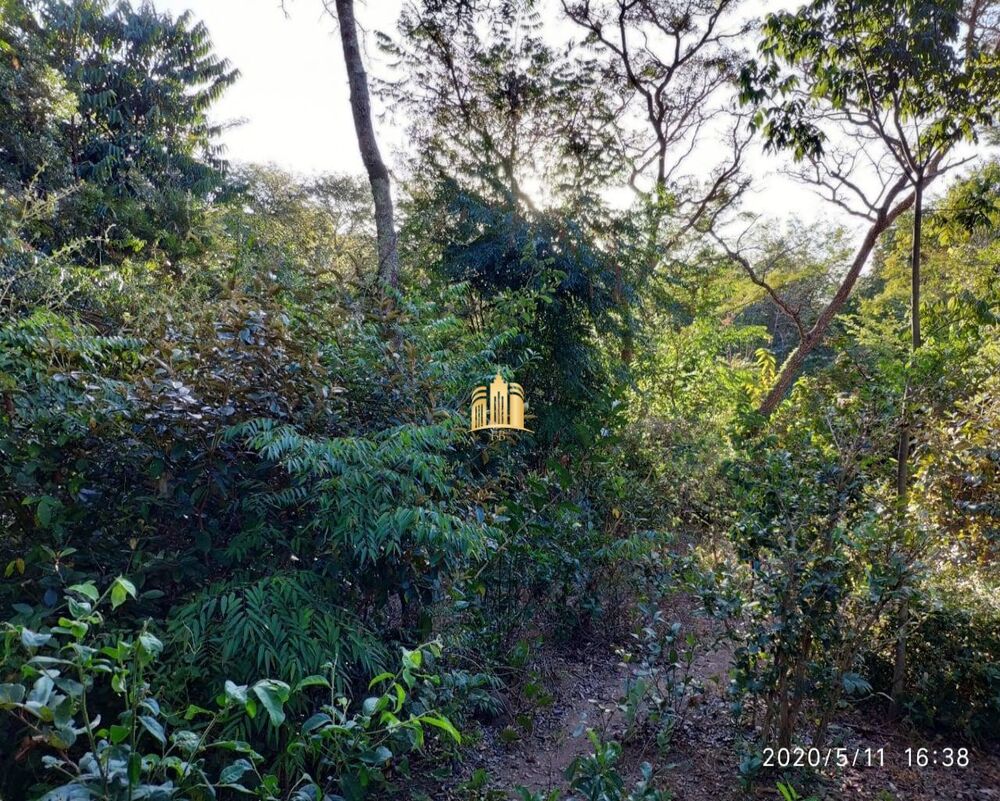 Terreno, 2500 m² - Foto 1