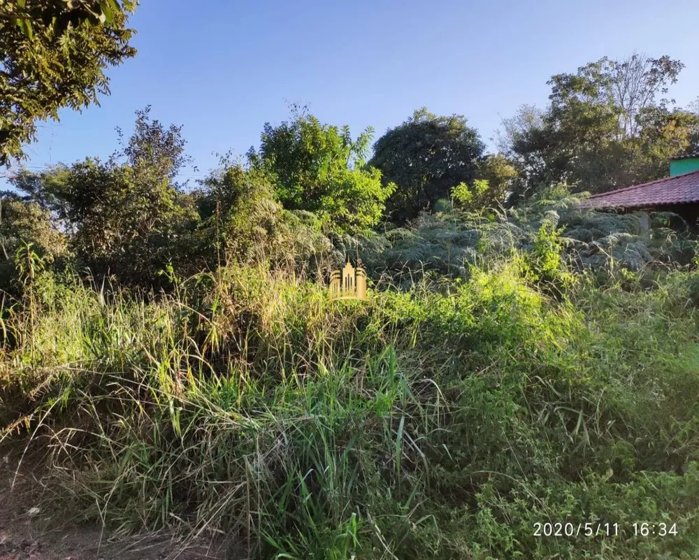 Terreno, 2500 m² - Foto 9