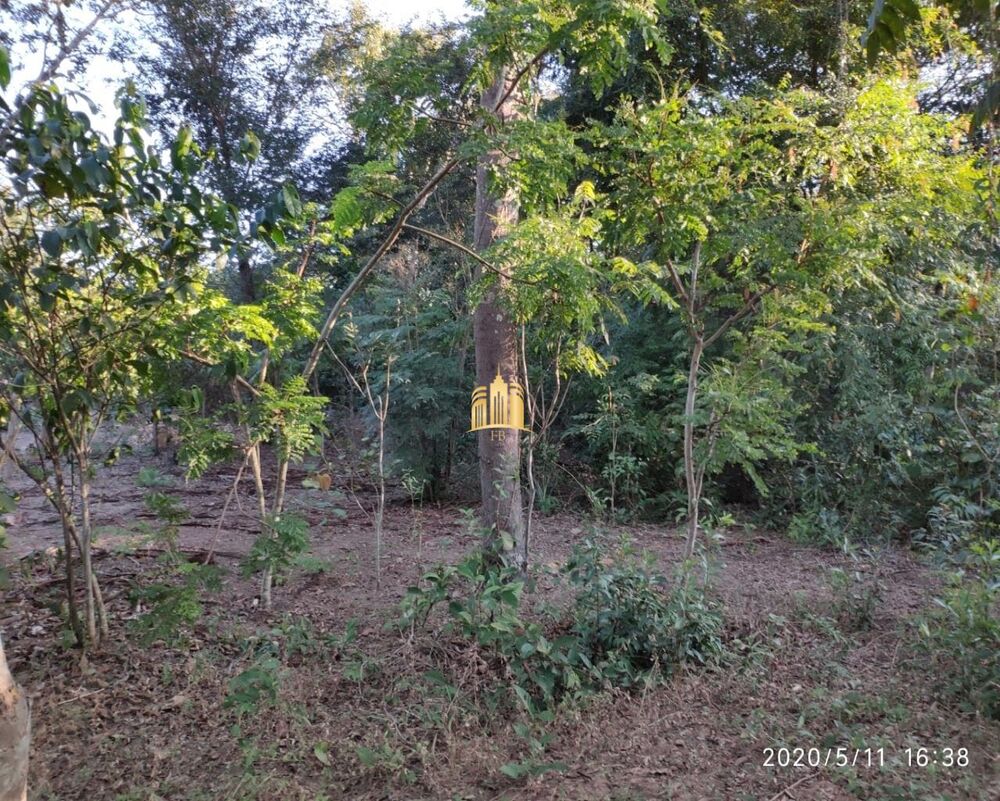 Terreno, 2500 m² - Foto 3