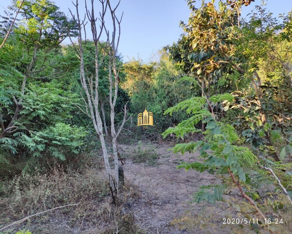Terreno, 2500 m² - Foto 8