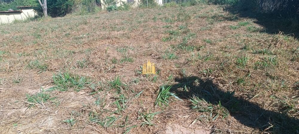 Terreno, 2500 m² - Foto 5
