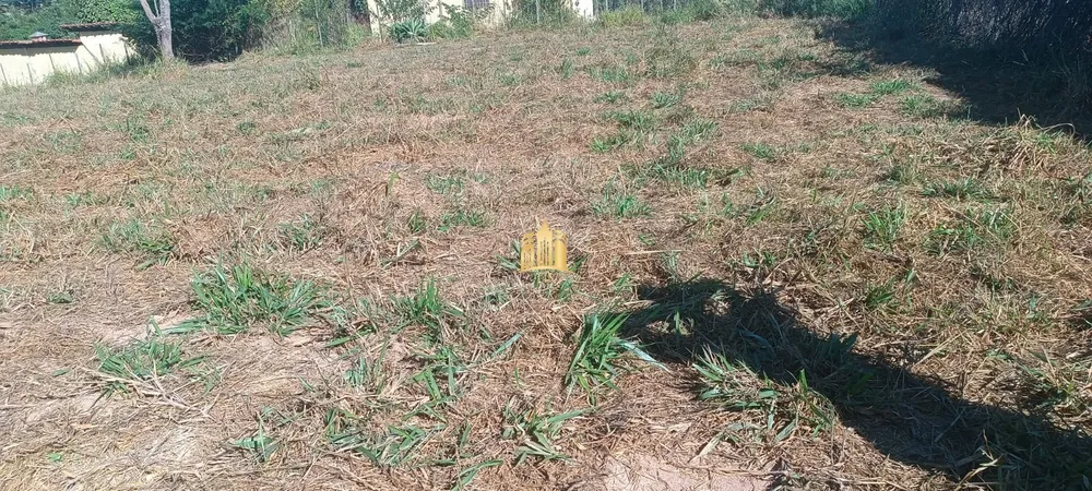 Terreno, 2500 m² - Foto 9