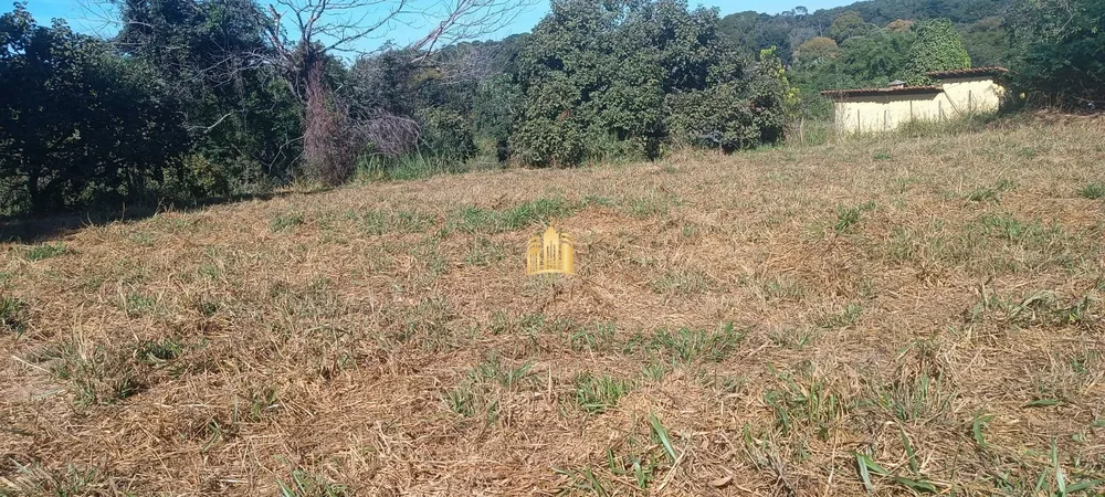 Terreno, 2500 m² - Foto 1