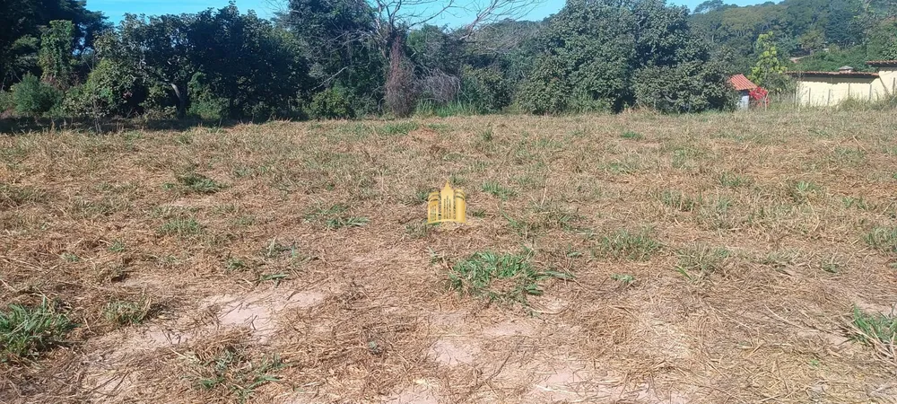 Terreno, 2500 m² - Foto 4