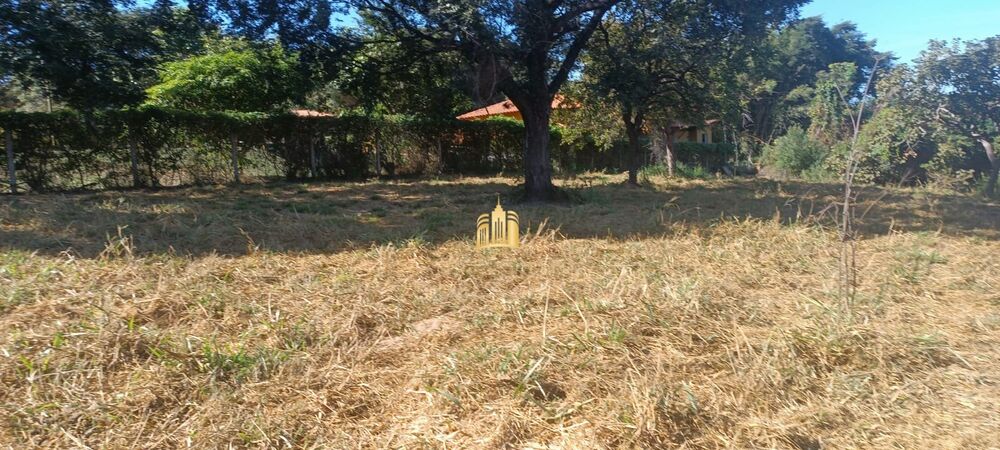 Terreno, 2500 m² - Foto 6
