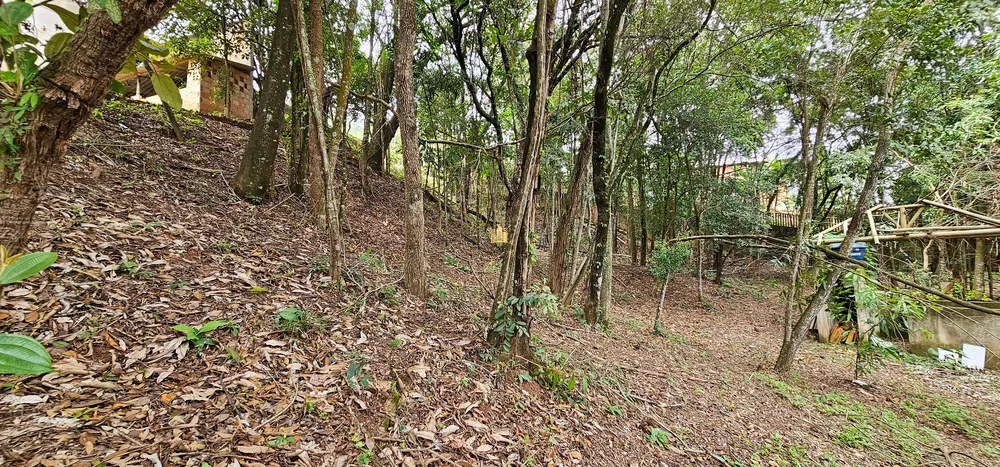 Sítio, 11 quartos, 5000 m² - Foto 10