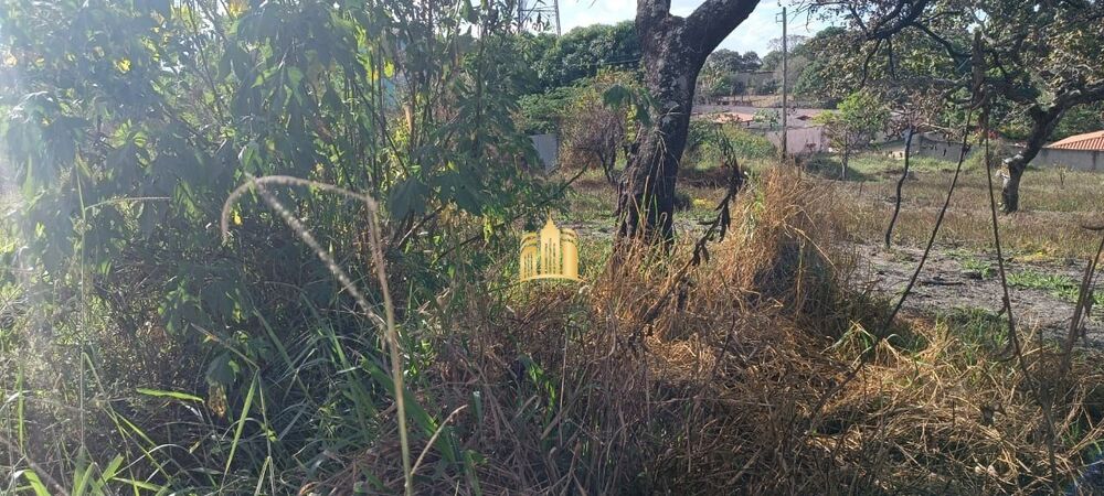 Terreno, 1000 m² - Foto 6