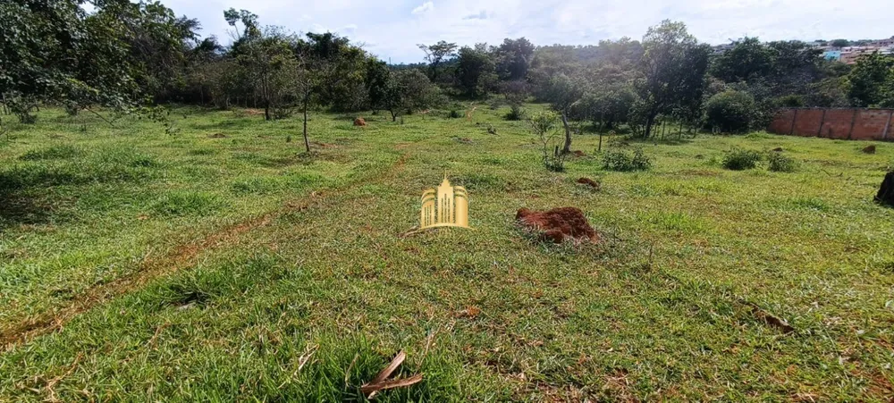 Terreno, 3 hectares - Foto 7