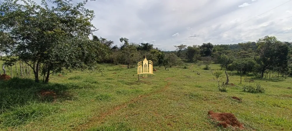 Terreno, 3 hectares - Foto 10