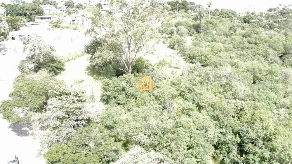 Terreno, 3 hectares - Foto 1