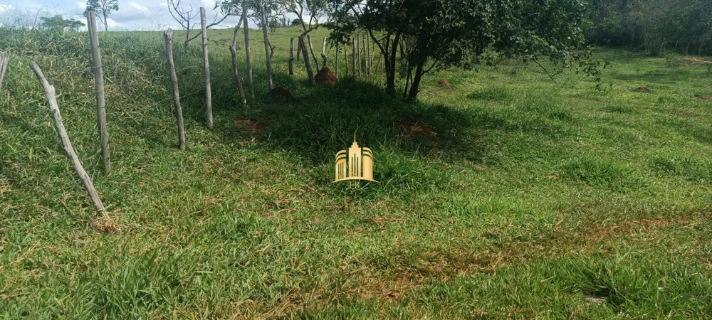 Terreno, 3 hectares - Foto 2