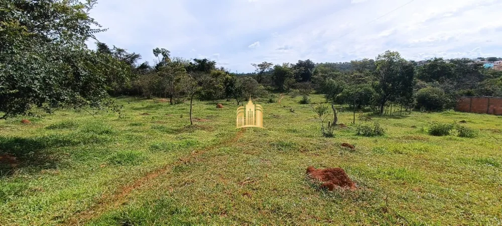 Terreno, 3 hectares - Foto 3