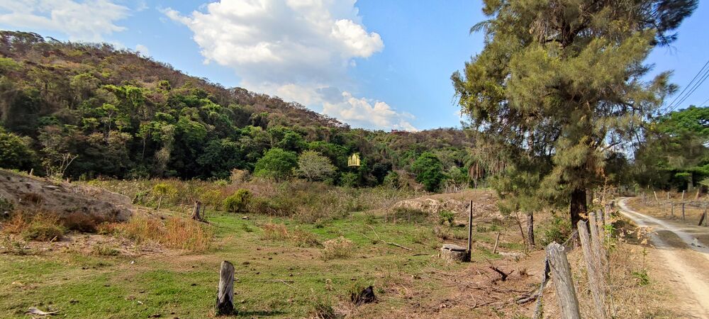 Fazenda, 157 hectares - Foto 7