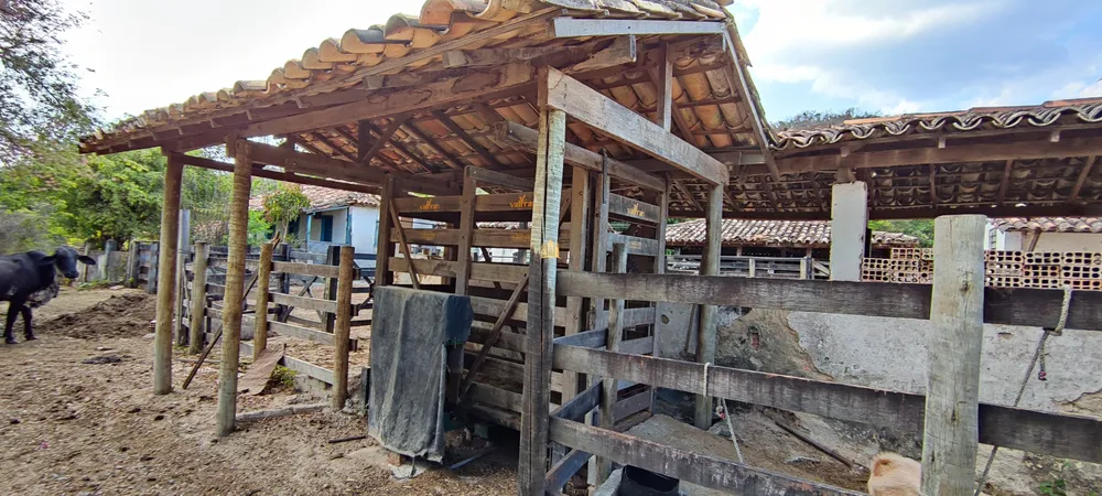 Fazenda, 157 hectares - Foto 14