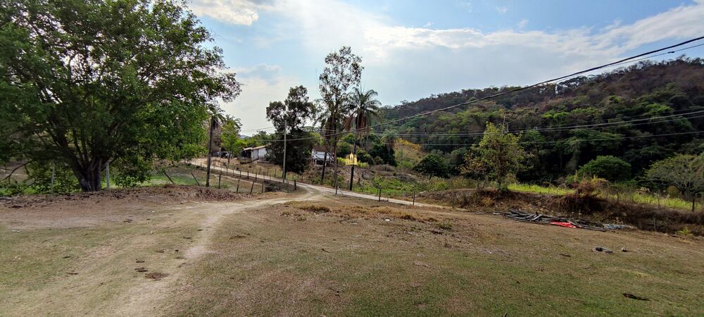 Fazenda, 157 hectares - Foto 6