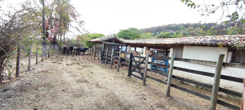 Fazenda, 157 hectares - Foto 2