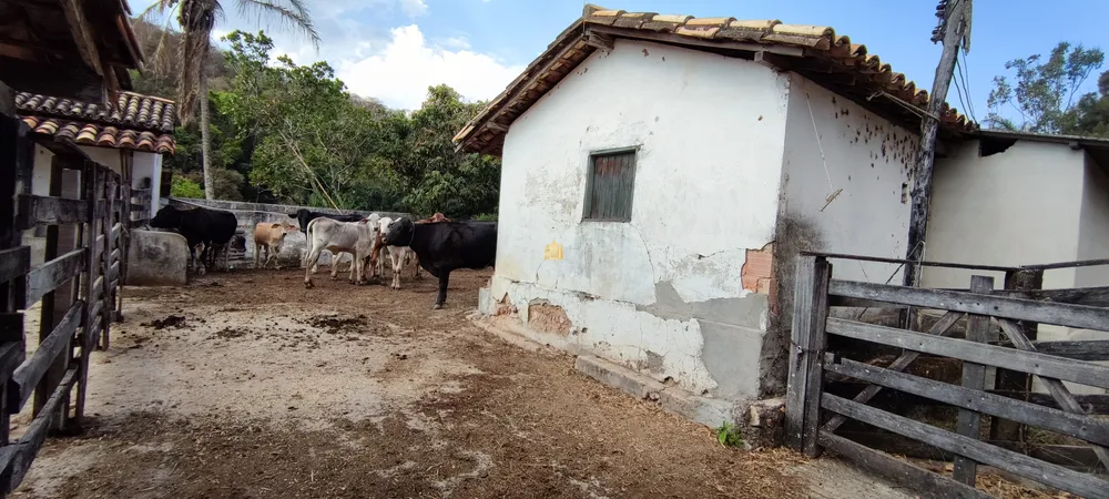Fazenda, 157 hectares - Foto 12