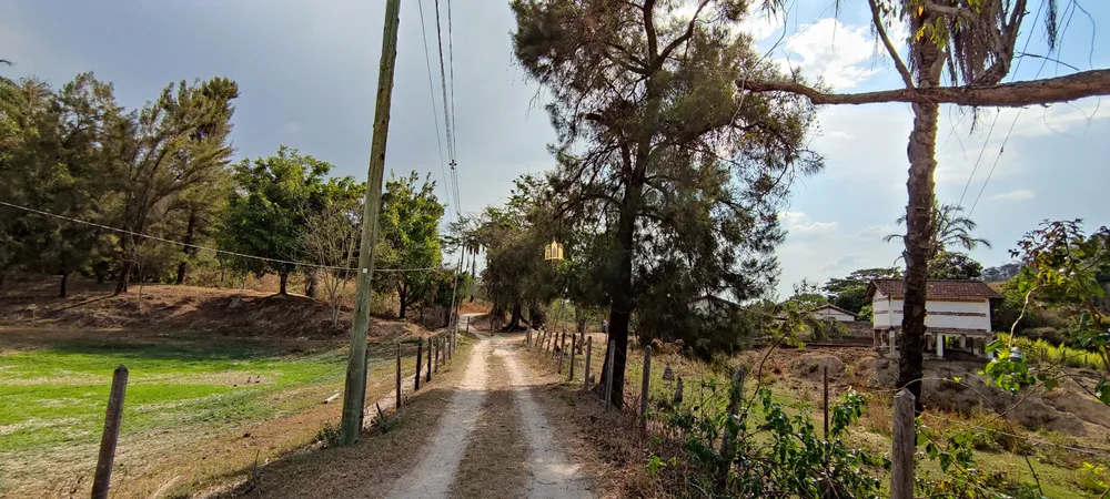 Fazenda, 157 hectares - Foto 19
