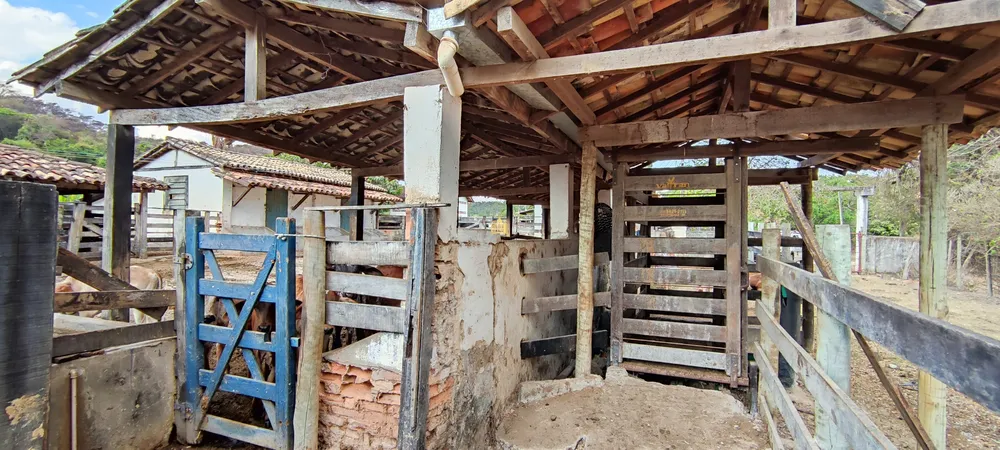 Fazenda, 157 hectares - Foto 15