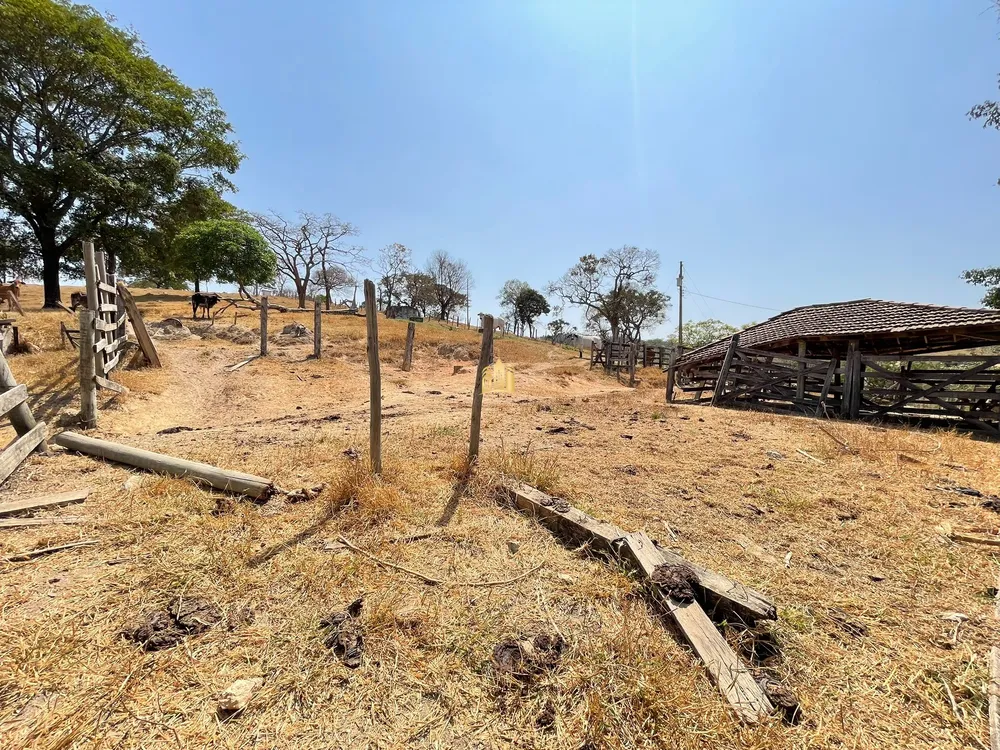 Fazenda, 50 hectares - Foto 12