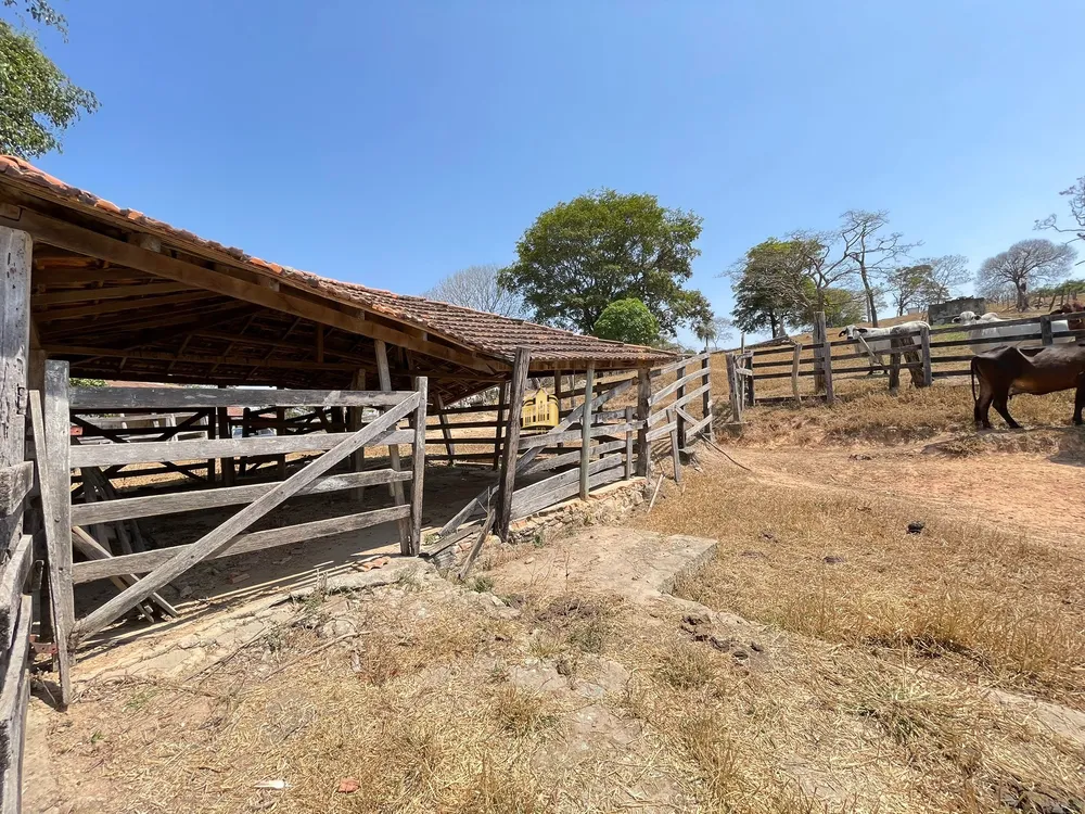 Fazenda, 50 hectares - Foto 9