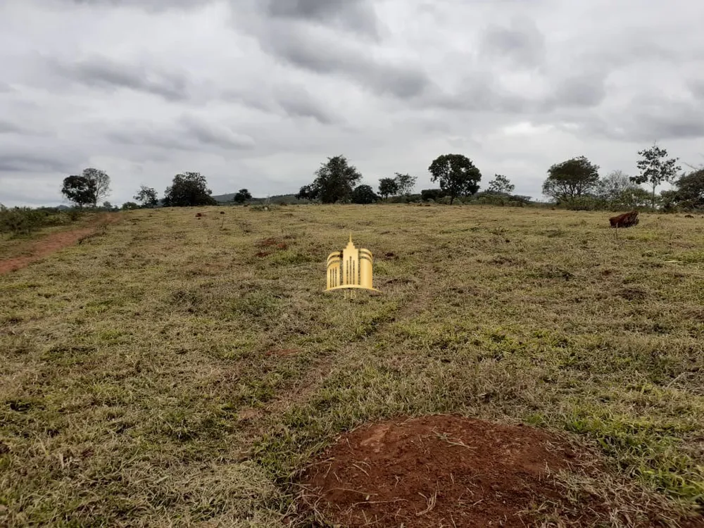 Terreno, 2 hectares - Foto 9