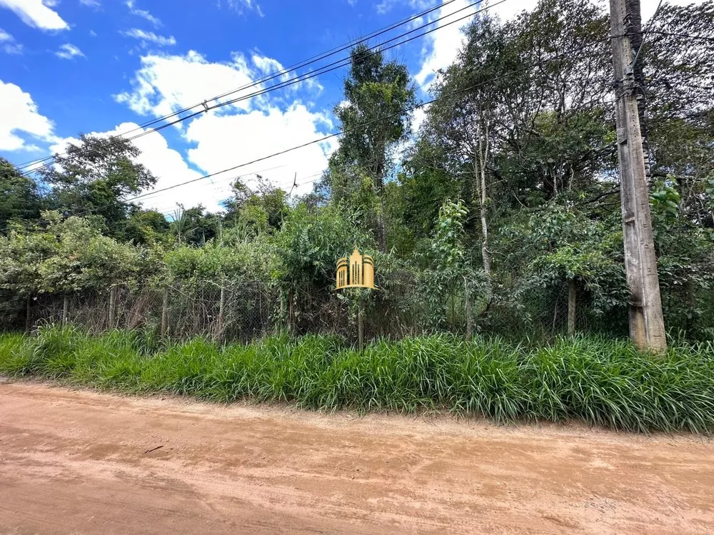 Terreno à venda, 5000m² - Foto 2